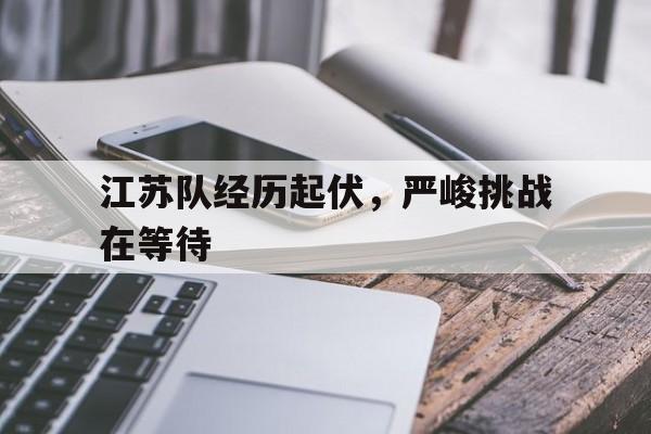 形势严峻和严峻哪个正确